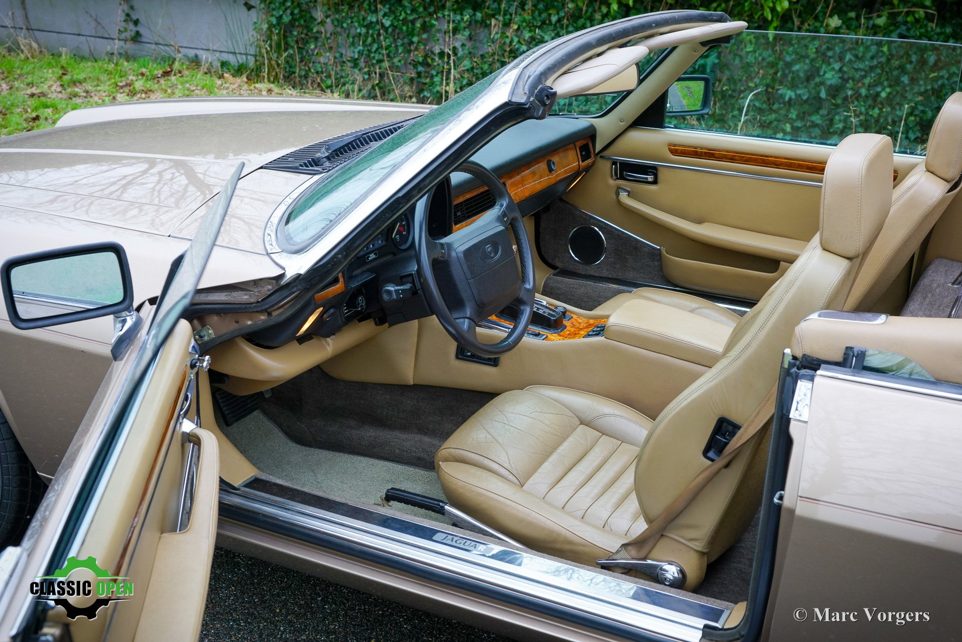 Jaguar XJS-C V12 