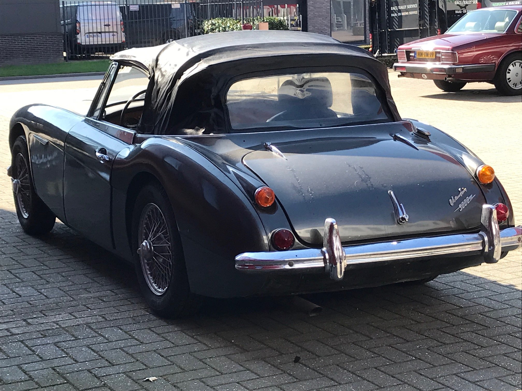 Austin Healey 3000 Mk3 project car